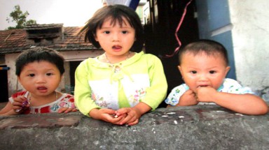   Giấc mơ về trẻ em và bò