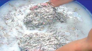  Yến sào hảo hạng ướp chất độc gây ung thư?