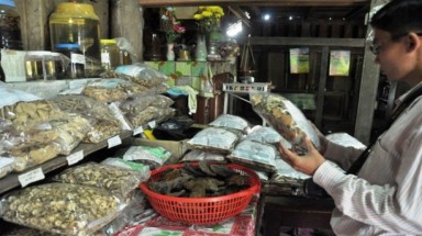  Thảo dược trôi nổi tiềm ẩn độc tố
