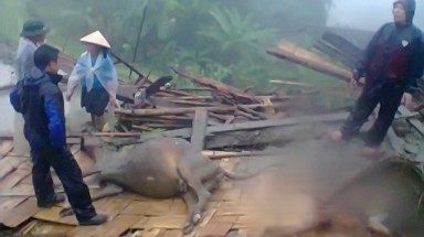  Hà Giang: tìm thấy 7 nạn nhân trong các vụ sạt lở đất