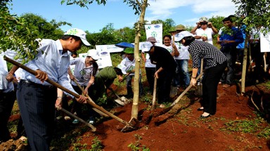  Trồng cây xanh tại khu di tích đồi Độc Lập, tỉnh Điện Biên 