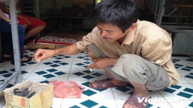  Mang chim rừng làm ”lộ phí” đưa con đi thi