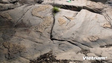  Phát hiện phiến đá nổi lên hình bản đồ Việt Nam