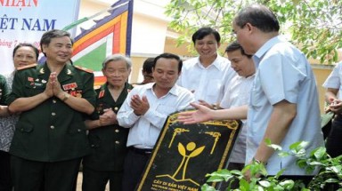  Công nhận cây di sản Việt Nam cho hai cây đa cổ Lý Sơn 