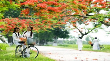 Ngày hội Hạ Về 2014 chủ đề "Giao Thoa"