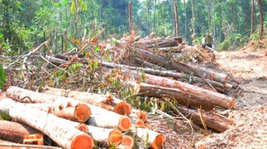 Vụ "Doanh nghiệp tố tướng công an": Giám đốc Công an tỉnh Đắk Nông bị yêu cầu nghiêm túc kiểm điểm