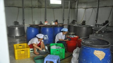  Ớn lạnh hình ảnh bên trong khu sản xuất sữa tươi tại Ba Vì