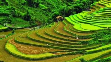  Từ 1/7/2015, Hà Nội sẽ xử phạt các tổ chức chưa đăng ký đất đai