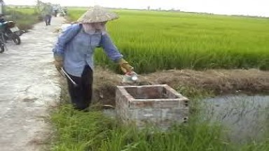  Nhân rộng mô hình thu gom rác thải thuốc bảo vệ thực vật ở Trà Vinh