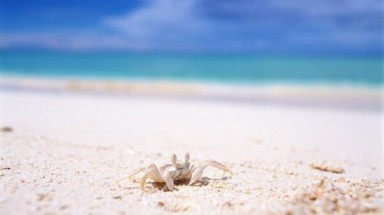  Tiếng sóng từ em