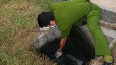 Tây Ninh: Công ty TNHH tinh bột sắn Dương Minh Châu xả nước thải chưa xử lý ra môi trường