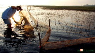  Tây Ninh: Cấm khai thác cá vào mùa sinh sản trong hồ Dầu Tiếng