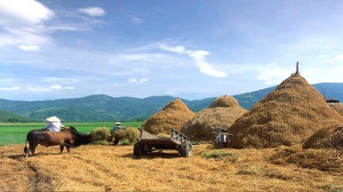  Thời tiết ngày 22 tháng 7: Bắc Bộ nắng oi, Nam Bộ giảm mưa 