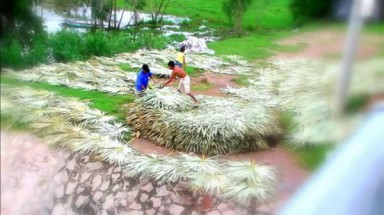  Thời tiết ngày 21 tháng 7: Trung Bộ trời mát, nền nhiệt thấp hơn trung bình hàng năm