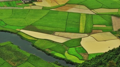  Đẹp tuyệt vời thung lũng Bắc Sơn thời điểm sắp vào vụ mùa