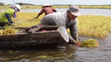  An Giang: Lũ đầu nguồn sông Cửu Long lên nhanh và diễn biến phức tạp