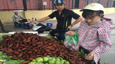  Liều mình ăn thử "Quả lạ đầy gai"