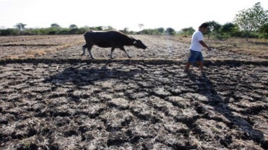  Hiện tượng El Nino đang tác động đến thời tiết ở Việt Nam
