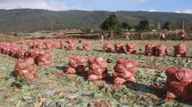  Hơn 80 doanh nghiệp ký kết tiêu thụ nông sản Lâm Đồng