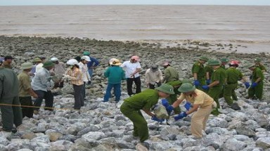   Trà Vinh: hơn 36 tỷ đồng cho công tác phòng chống lụt bão, giảm nhẹ thiên tai