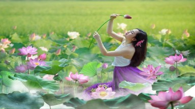 Ảnh đẹp thiếu nữ khoe sắc bên hoa sen 