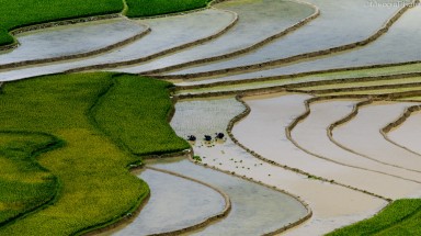  Thời tiết ngày 23 tháng 7: Bắc Bộ ngày nắng nóng, chiều tối có mưa dông, đề phòng gió giật mạnh
