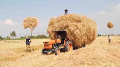  Những cách thức chống hạn hiệu quả ở vùng tâm hạn Ninh Thuận