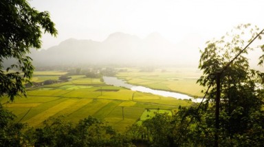  Ngắm sắc vàng óng ả của lúa chín ở thung lũng Bắc Sơn