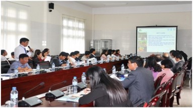   Ứng phó biến đổi khí hậu: Thực hiện REDD+ - cơ hội và thách thức 