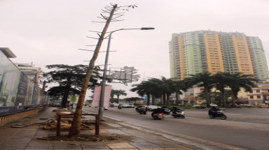  Về vụ chặt cây xanh ở Hà Nội: Phải chăng "quên" hình thức kỷ luật?