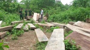 Quảng Trị: Phát hiện bãi gỗ lậu sát biên giới Việt – Lào