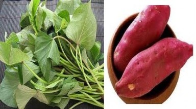  Lý do khoai lang được dân gian gọi là "sâm nam"