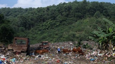   Đồng Nai: Nhức nhối các bãi rác tạm