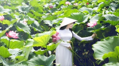 Ngơ ngẩn với những bức ảnh đẹp của mỹ nhân Việt bên hoa sen