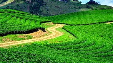  Thời tiết ngày 1 tháng 7: Nắng gắt và khô nóng gia tăng tại Bắc Bộ và Trung Bộ 