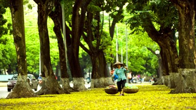  Thời tiết ngày 4 tháng 7: Cảnh báo mưa dông, lốc xoáy, lũ quét ở Bắc bộ 