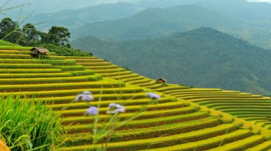  Thời tiết ngày 20 tháng 7: Miền Bắc vẫn mưa dông, miền Nam ngày nắng gián đoạn 
