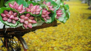 Thời tiết ngày 10 tháng 7: Bão số 2 suy yếu thành áp thấp nhiệt đới