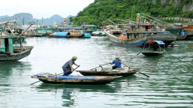  Thí điểm dự án “Sáng kiến liên minh Vịnh Hạ Long – Cát Bà” 