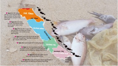  Người dân có thể khởi kiện Formosa