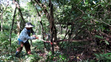  Vụ “Dự án nuôi bò “nuốt” 870 ha rừng” ở Phú Yên: Chưa nhận lệnh đóng cửa rừng (!?)
