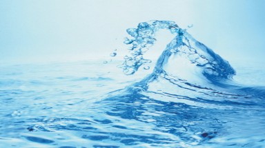  Nước đóng vai trò quan trọng như thế nào?