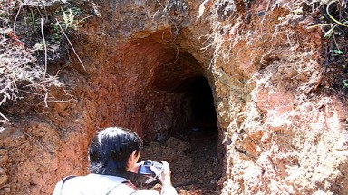 Bảo kê "thiếc tặc"?