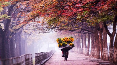  Thời tiết miền Bắc dịu mát, Vịnh Bắc bộ đề phòng có dông lốc 