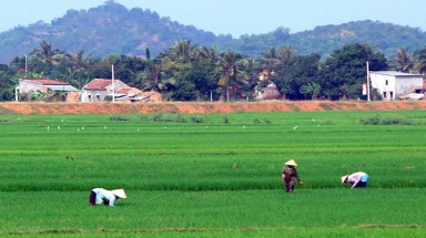 Lâm Đồng: Sản xuất theo công nghệ cao trong xây dựng nông thôn mới ở Cát Tiên