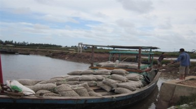  Nam Định: Người nuôi ngao điêu đứng vì thương lái ngoại 