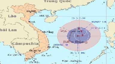  Bão số 7 cách quần đảo Hoàng Sa 450 km về phía Đông Bắc, biển động dữ dội 