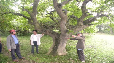  “Lá chắn” bảo vệ xóm làng