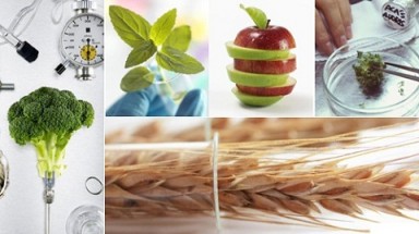  Các loại siêu thực phẩm có lành mạnh?