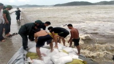  Quảng Ninh hoãn tất cả các cuộc họp để tập trung ứng phó với bão số 5 